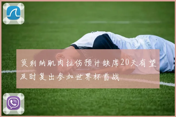 莫利纳肌肉拉伤预计缺席20天有望及时复出参加世界杯首战