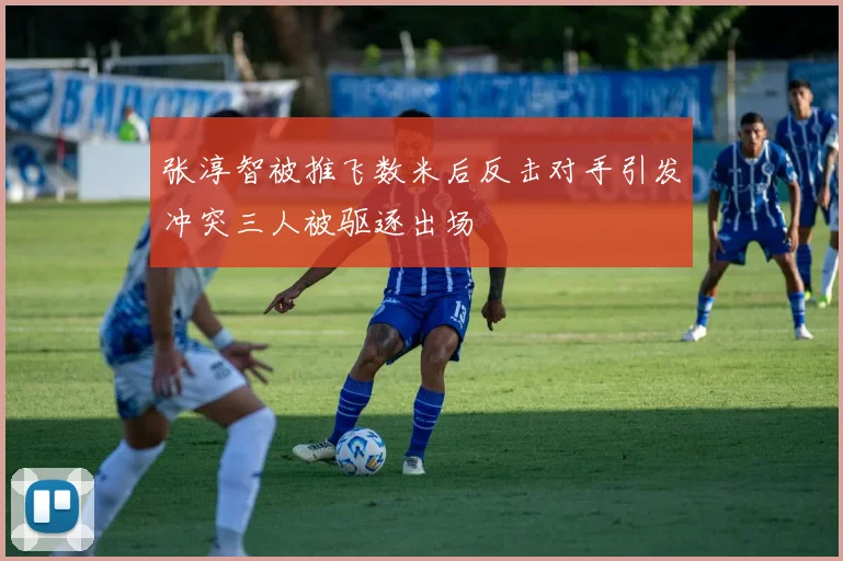 张淳智被推飞数米后反击对手引发冲突三人被驱逐出场